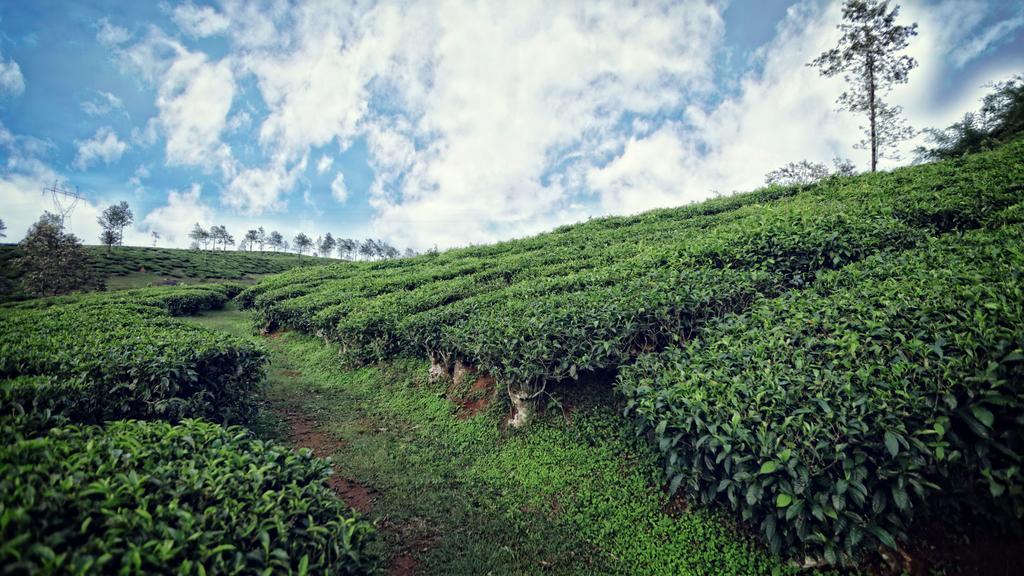 The Windflower Resort & Spa, Vythiri Wayanad Eksteriør bilde