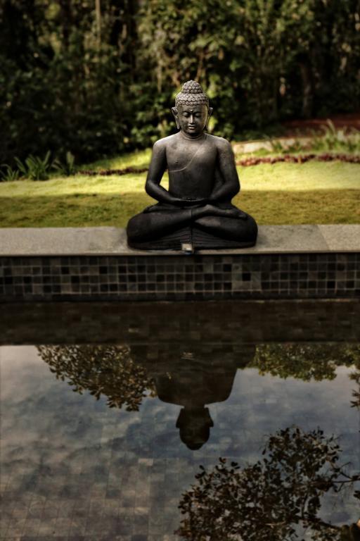 The Windflower Resort & Spa, Vythiri Wayanad Eksteriør bilde